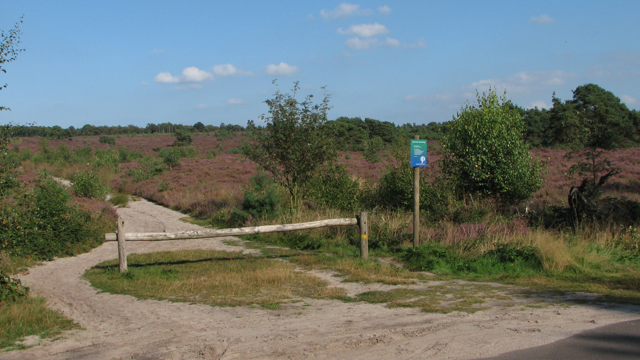 Welkom op de schitterende Holterberg