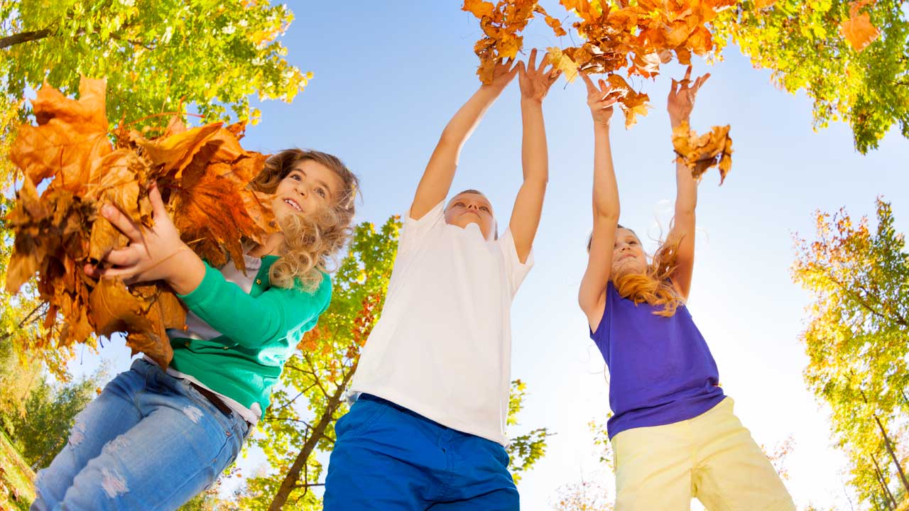 Kinderfeestjes op de Holterberg